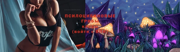 хмурый Алексин