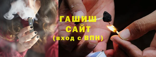 хмурый Алексин