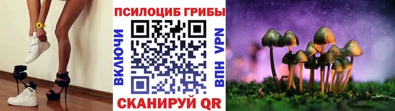 Псилоцибиновые грибы Cubensis  наркота  Яхрома 